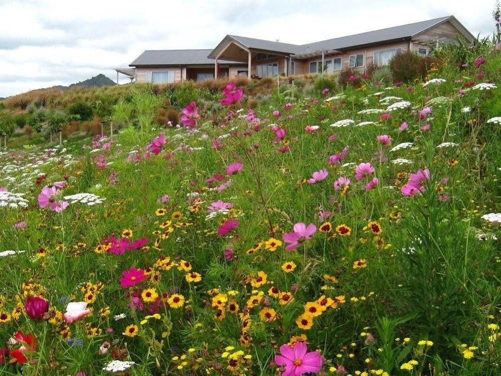 卡蒂卡蒂凯迈乡村旅馆住宿加早餐旅馆 外观 照片